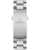 Omega Seamaster Planet Ocean